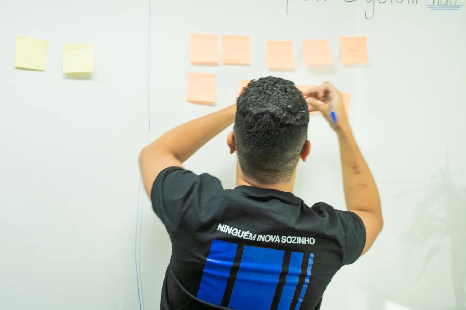 System Frame em operação e Field Service
